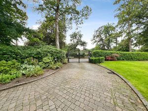 Driveway- click for photo gallery